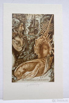 Bohumil Krátký -Plachetnice Vincenzo Cicccotti - grafika - 5