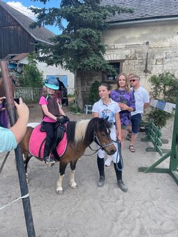 Pony kobylka - 5