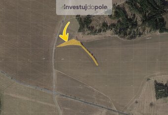 Prodej louky 17 895 m², Planá - Svahy, ev.č. 2025-06-09-65 - 5