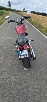 Harley Davidson 883 Sportster 2005 - 5