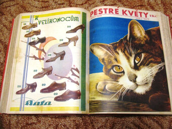 PESTRÉ KVĚTY 1930 - 5