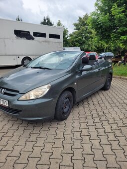 Peugeot 307 cabrio - 5