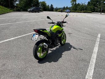 Benelli bn 125 - 5