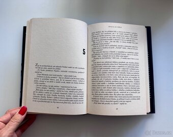 Dívej se, jak umírají - Ed McBain - 5