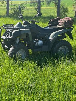 Access Max 250 - 5