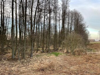 Prodám pozemky na k.ú. Černá u Bohdanče - 5