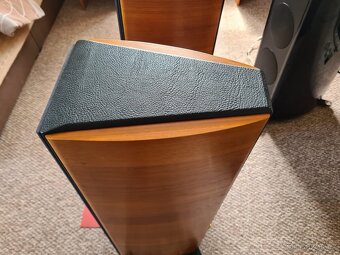 Sonus Faber Concerto Domus - 5