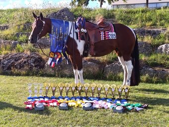 Letošní klisnička APH All around prospect - 5