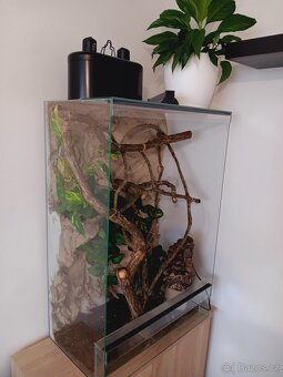 Terárium po chameleonovi - 5