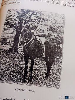 kniha TŘICÁTNÍCI SBORNÍK PRACÍ K 10. VÝROČÍ BOJŮ PĚŠÍHO PLUK - 5