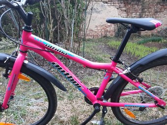 Author ULTIMA 24 - 5