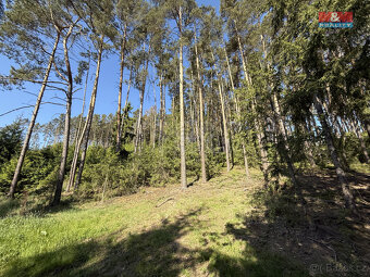 Prodej lesa, 23184 m², Milešov - 5