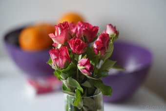 Canon Fd 135/2.5 S.C. - 5