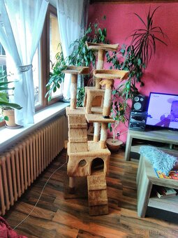 Škrabadlo strom pro kocky - 5