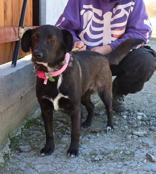 TIFANY K ADOPCI - 1 ROK, KAMARÁDSKÁ,VESELÁ,CHYTRÁ - 5