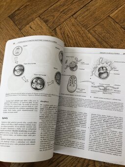 Fyziologie a funkční anatomie domácích zvířat - 5