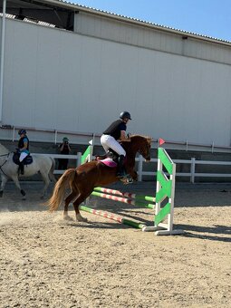 Pony kategorie B - 5