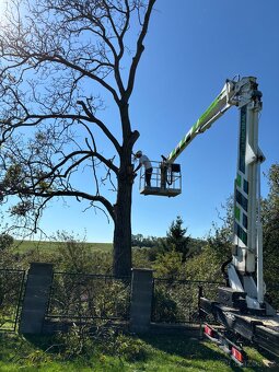 Pronájem plošiny - 5