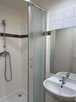 Pronájem bytu 1+kk Hodonín - 5