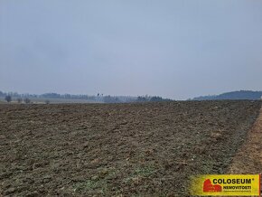 Slatinka u Letovic, zemědělský pozemek, 19 674 m2 – pozemek - 5