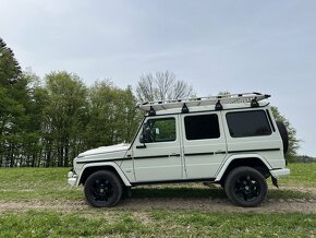 Mercedes Benz G 300 cdi Professional - 5