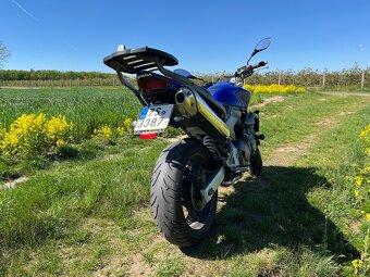 Honda CB600F Hornet - 5