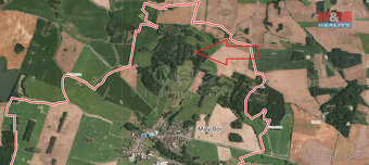 Prodej lesa, 3635 m², Malý Bor - 5