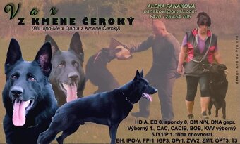 Německý ovčák s PP - 5