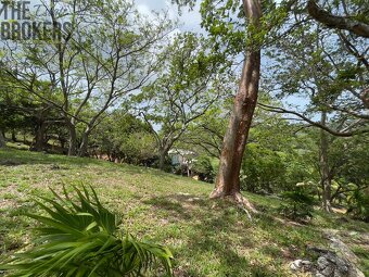 LOT 5 Bodden Bight Estate, Roatan - 5
