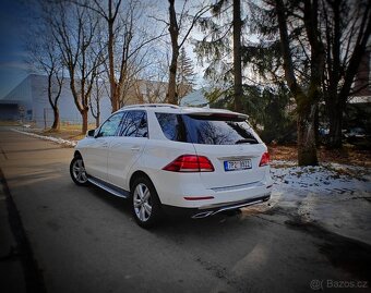 Gle 350,Amg paket .2017 - 5