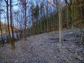 Prodej, stavební pozemek, 1587, Hynčina - 5