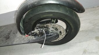 BOHMAN model:  go plus red - 5