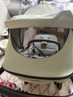 Sportovní kočárek ABC Design Avus Pine 2023 - 5