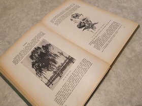 Kniha "Těšitel: Naše rodinné zahrady" originál z r. 1931 - 5
