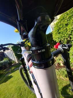 Specialized status 2021 vel. S4 (L) - 5