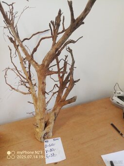 Bonsai kořeny do aquaria / Terraria - 5