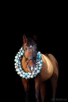 Pony do sportu - 5