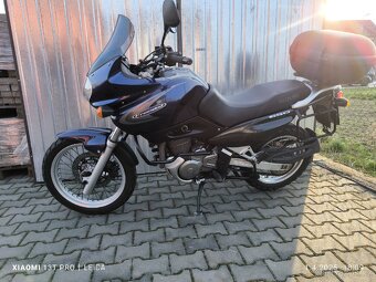 Suzuki XF 650 Freewind 35kw - 5