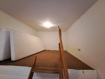 Pronájem bytu 1+kk Královo Pole, 27 m², trvalý pobyt, prip. - 5