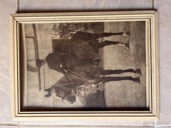 Tomáš Garrigue Masaryk - obrazy - 5