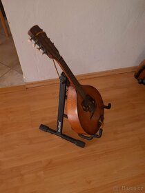 Kytary a mandolina - 5