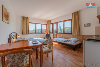 Prodej hotelu, penzionu, 300 m², Malý Ratmírov - 5