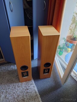 Sony SS B4ED - 5