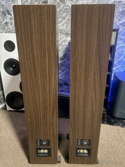 Indiana Line Tesi 6 - 5