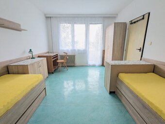 Pronájem bytu, 2+kk, 36 m2, Žirovnice - 5