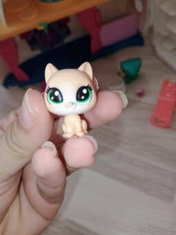 Lps loď - 5