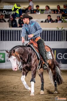 Qh na prodej od hribete po show reining - 5