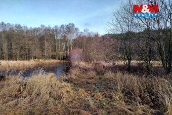 Prodej pozemků s rybníkem ve Velké Losenici - 5