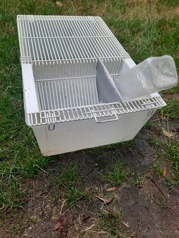 Boxi na myši - 5