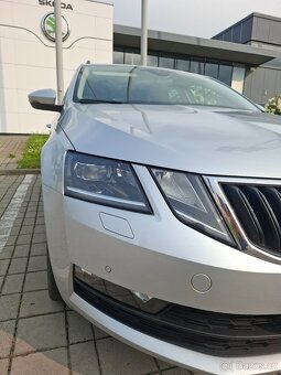 Octavia - 5